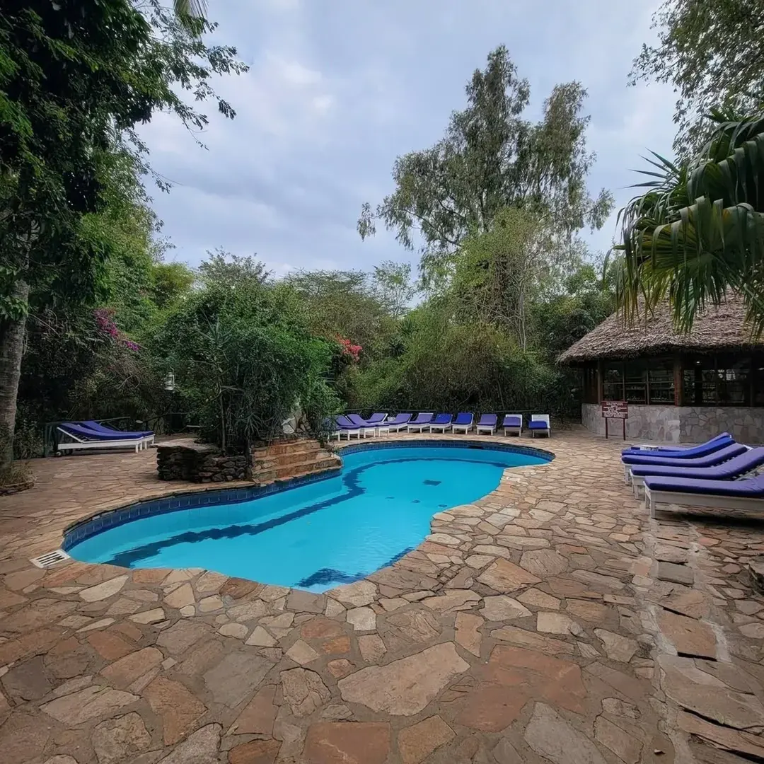 Fig Tree Camp